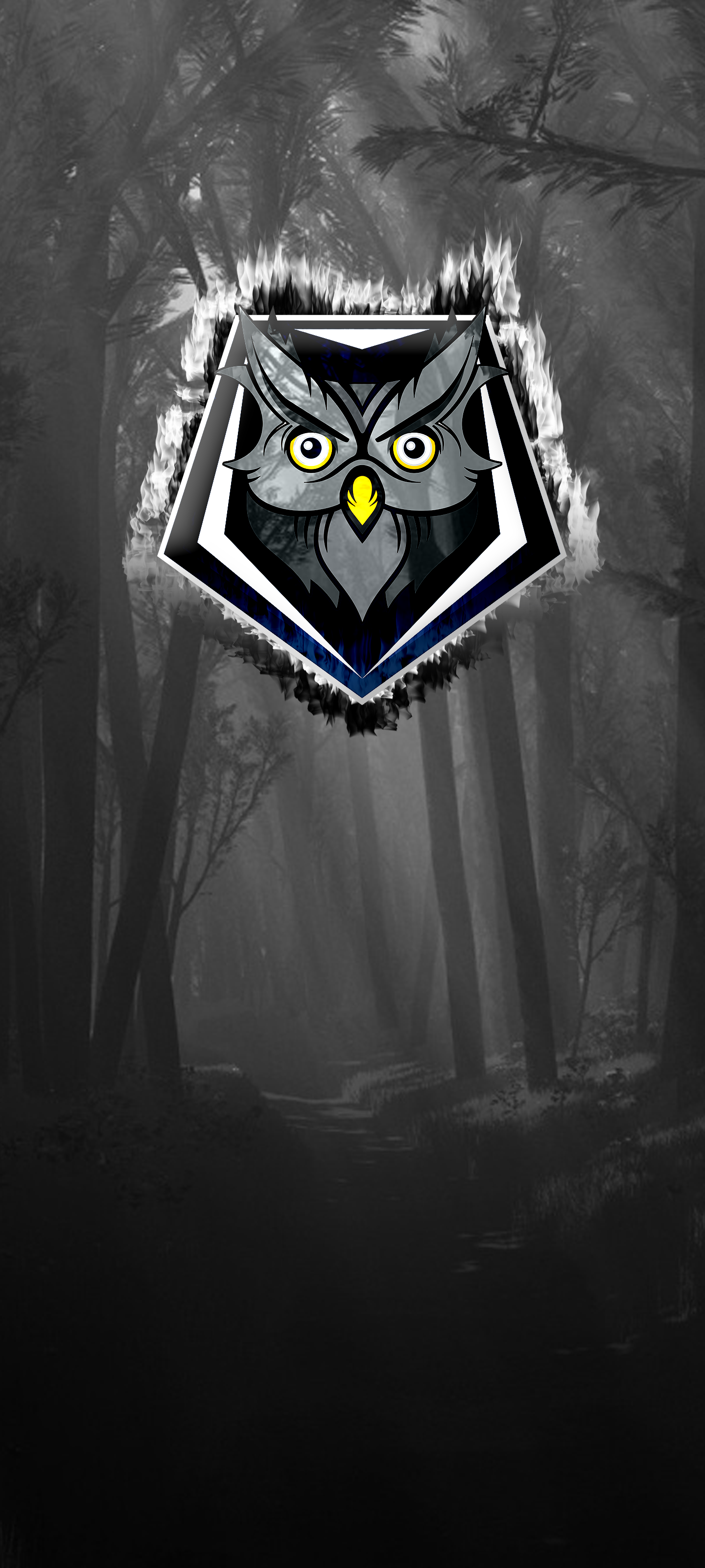 owlForest1